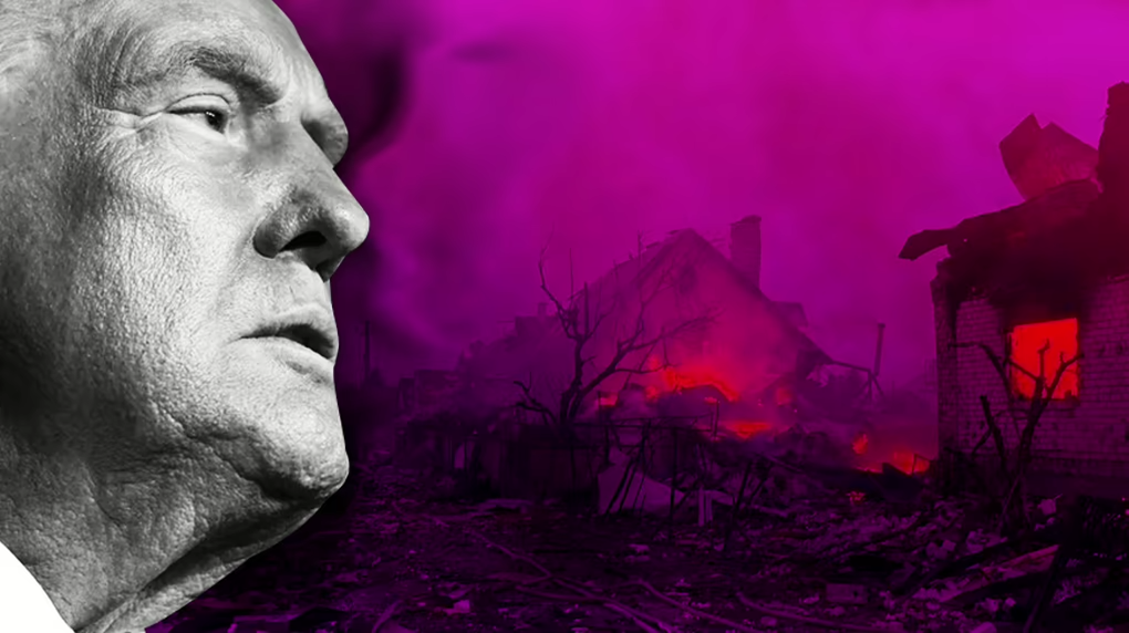 e7cb68d-dubi-trump3.png