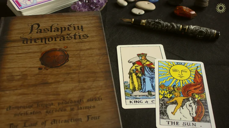 istoriia-taro.jpg.webp
